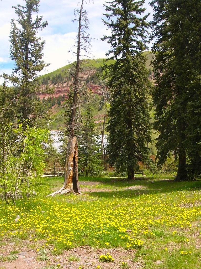 Telluride Town Park